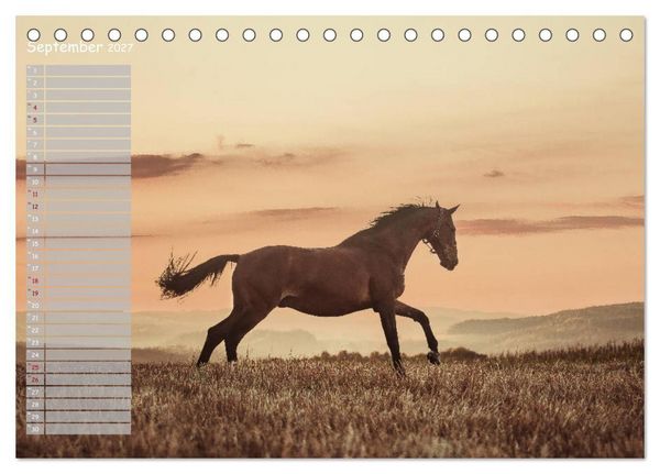 Produktbild: Pferde - Spiegel deiner Seele (Tischkalender 2027 DIN A5 quer), CALVENDO Monatskalender