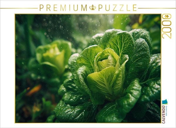 CALVENDO Puzzle Frischer Kopfsalat im Garten wächst im satten Grün | 2000 Teile Lege-Größe 90x67cm Foto-Puzzle für glückliche Stunden