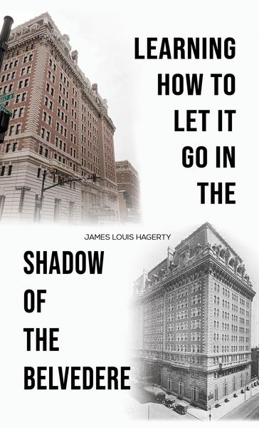Produktbild: Learning How to Let It Go in the Shadow of the Belvedere