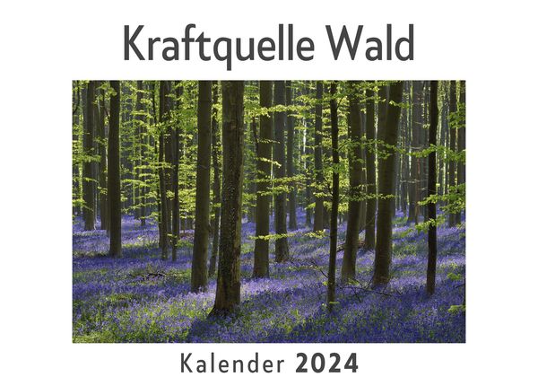 Produktbild: Kraftquelle Wald (Wandkalender 2024, Kalender DIN A4 quer, Monatskalender im Querformat mit Kalendarium, Das perfekte Geschenk)
