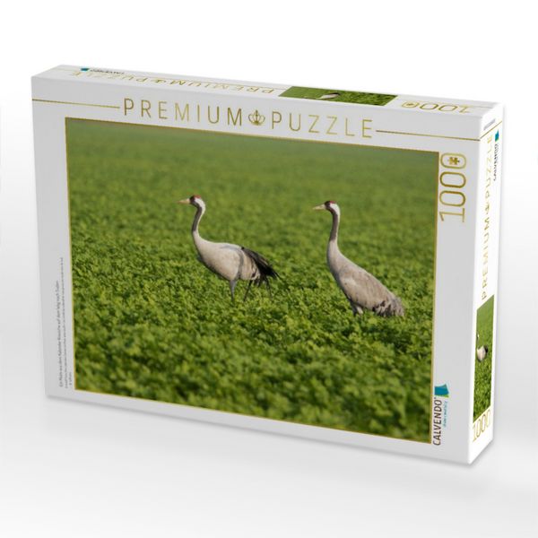 Produktbild: CALVENDO Puzzle Ein Motiv aus dem Kalender Kraniche auf dem Weg nach S&uuml;den | 1000 Teile Lege-Gr&ouml;&szlig;e 64x48cm Foto-Puzzle f&uuml;r gl&uuml;ckliche Stunden