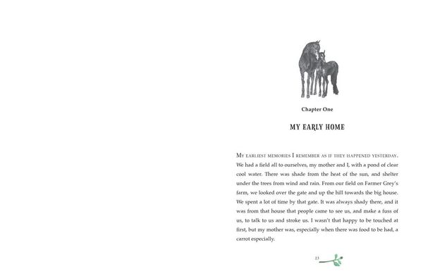 Produktbild: Black Beauty