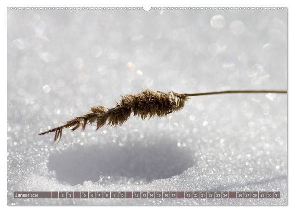 Produktbild: Die Natur hautnah (hochwertiger Premium Wandkalender 2026 DIN A2 quer), Kunstdruck in Hochglanz