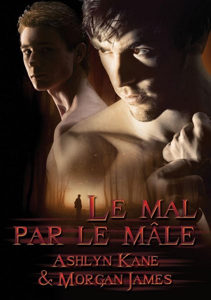 Produktbild: Le mal par le m&acirc;le