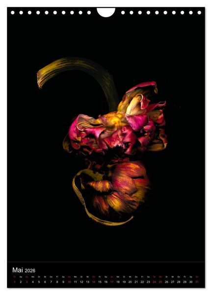 Produktbild: Blumen bei Nacht (Wandkalender 2026 DIN A4 hoch), CALVENDO Monatskalender