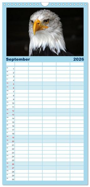 Produktbild: Familienplaner 2026 - Greifv&ouml;gel, Eulen und K&auml;uze mit 5 Spalten (Wandkalender, 21 x 45 cm) CALVENDO