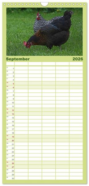 Produktbild: Familienplaner 2026 - Die H&uuml;hner sind los! mit 5 Spalten (Wandkalender, 21 x 45 cm) CALVENDO