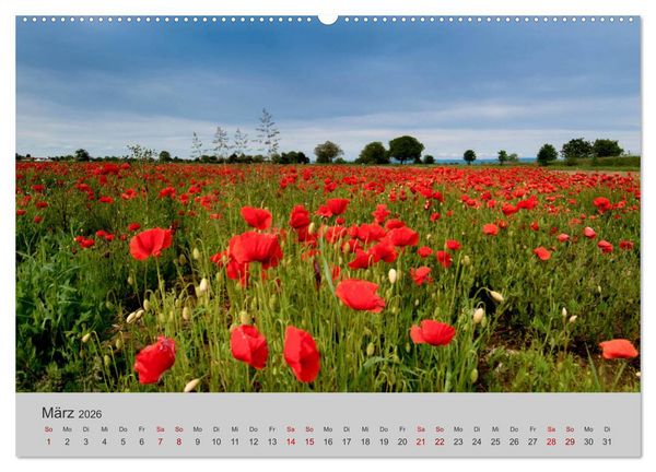 Produktbild: Die Sch&ouml;nheit der Bretagne (hochwertiger Premium Wandkalender 2026 DIN A2 quer), Kunstdruck in Hochglanz