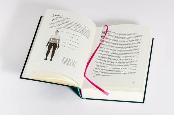 Produktbild: Ein Jahr des Staunens