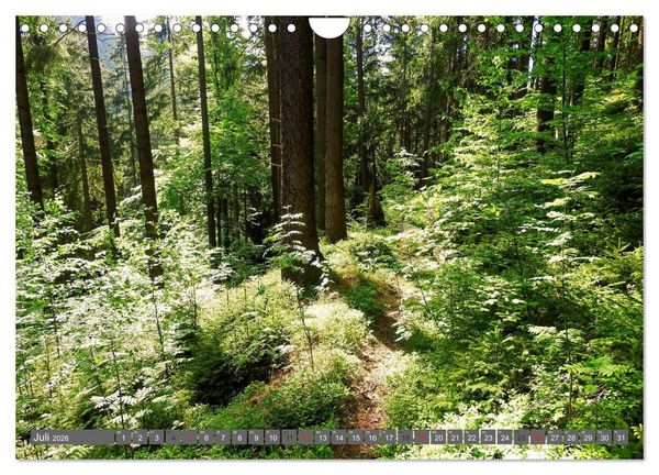 Produktbild: Wege finden immer ein Ziel (Wandkalender 2026 DIN A4 quer), CALVENDO Monatskalender