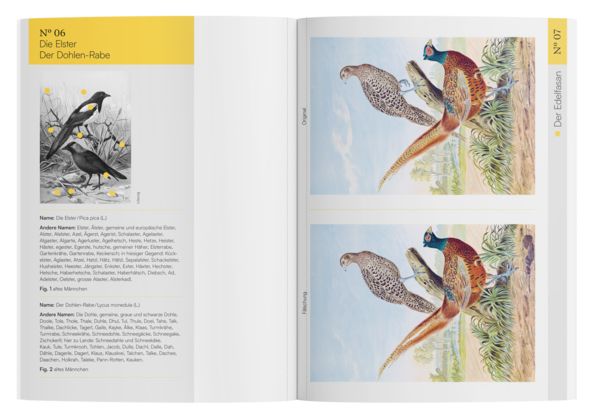 Produktbild: Finde den Fehler &ndash; 40 Meisterwerke der Vogel-Malerei