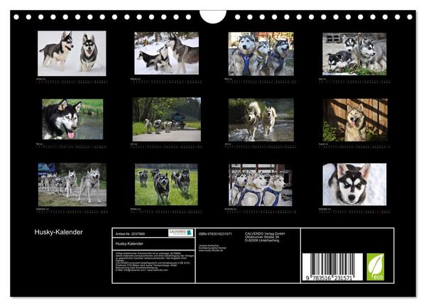 Produktbild: Husky-Kalender (Wandkalender 2026 DIN A4 quer), CALVENDO Monatskalender