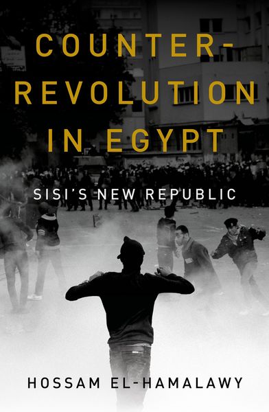 Produktbild: Counterrevolution in Egypt