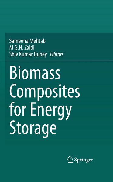 Produktbild: Biomass Composites for Energy Storage