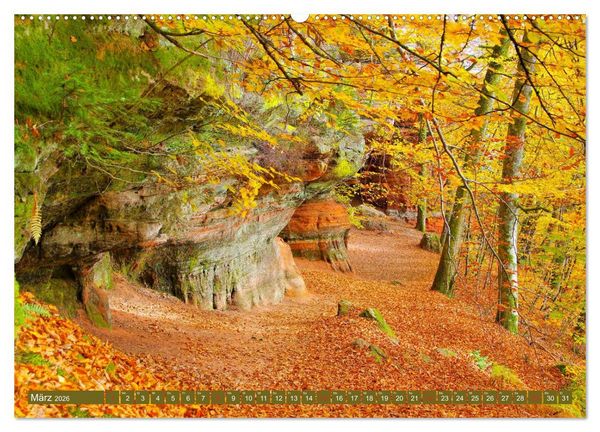 Produktbild: Der Altschlossfelsen - Gr&ouml;&szlig;te Felsformation der Pfalz im herbstlichen Farbspiel (hochwertiger Premium Wandkalender 2026 DIN A2 quer), Kunstdruck in Hochglanz