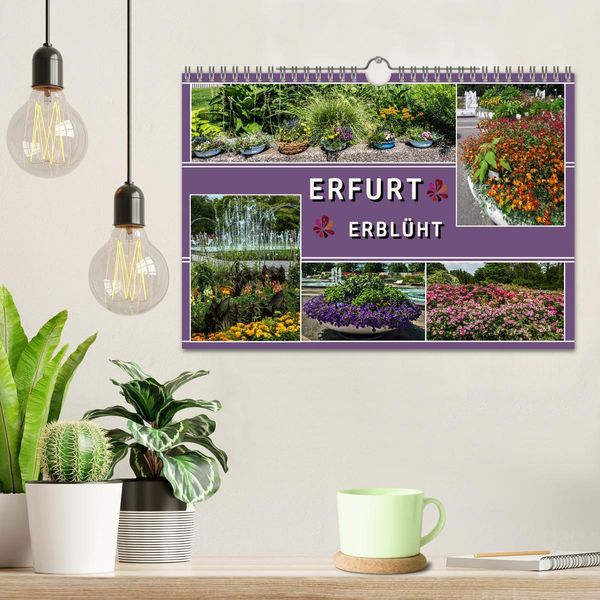 Produktbild: Erfurt erbl&uuml;ht (Wandkalender 2026 DIN A4 quer), CALVENDO Monatskalender