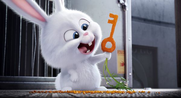 Pets (3D)