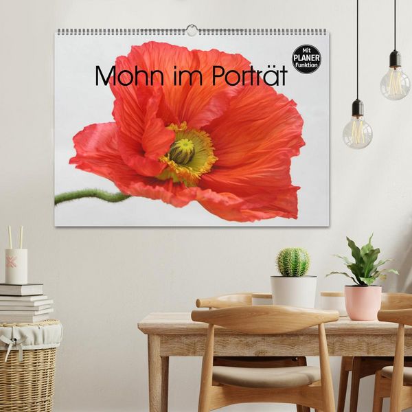 Produktbild: Mohn im Portr&auml;t (Wandkalender 2026 DIN A2 quer), CALVENDO Monatskalender