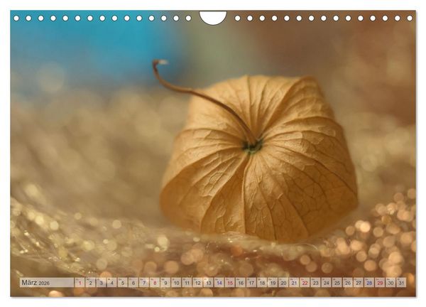 Produktbild: Kunstvolle Physalis-Kleine Frucht von gro&szlig;er Faszination (Wandkalender 2026 DIN A4 quer), CALVENDO Monatskalender
