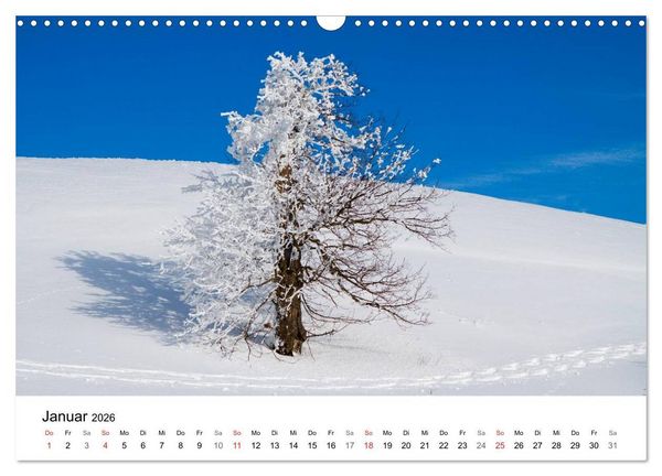 Produktbild: Auf neuen Wegen (Wandkalender 2026 DIN A3 quer), CALVENDO Monatskalender