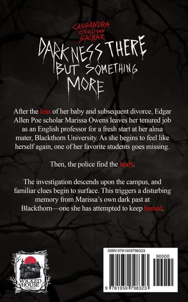 Produktbild: Darkness There But Something More