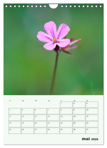 Produktbild: Fleurs en toute simplicit&eacute; - Beaut&eacute; minimaliste (Calendrier mural 2026 DIN A4 horizontal), CALVENDO calendrier mensuel