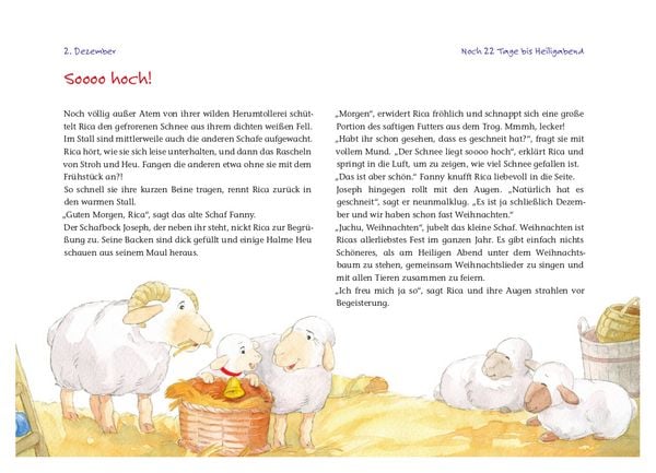 Produktbild: Rica sucht das Christkind