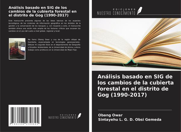 Produktbild: An&aacute;lisis basado en SIG de los cambios de la cubierta forestal en el distrito de Gog (1990-2017)