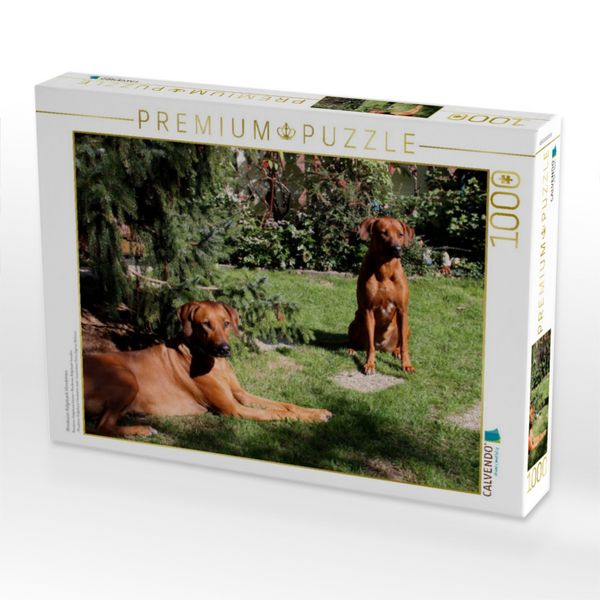 Produktbild: CALVENDO Puzzle Rhodesian Ridgeback H&uuml;ndinnen | 1000 Teile Lege-Gr&ouml;&szlig;e 64x48cm Foto-Puzzle f&uuml;r gl&uuml;ckliche Stunden