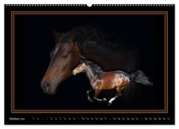 Produktbild: Traumpferde-ART-Collection (hochwertiger Premium Wandkalender 2026 DIN A2 quer), Kunstdruck in Hochglanz