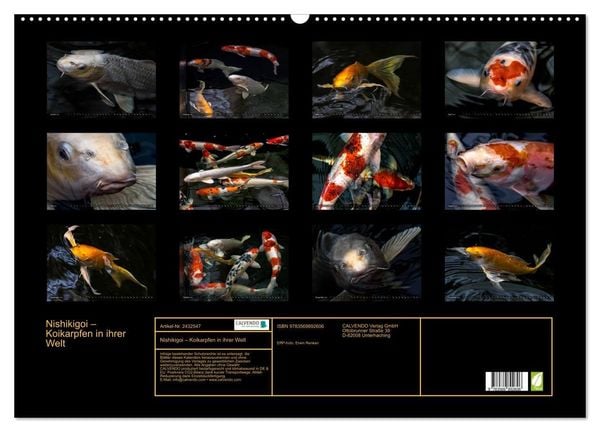 Produktbild: Nishikigoi &ndash; Koikarpfen in ihrer Welt (Wandkalender 2027 DIN A2 quer), CALVENDO Monatskalender