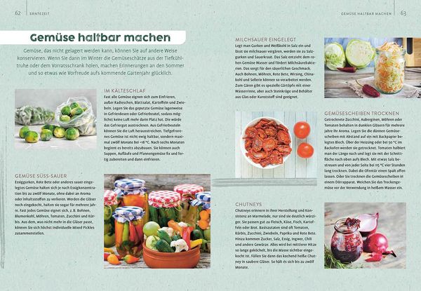 Produktbild: Gem&uuml;segarten &ndash; einfach machen