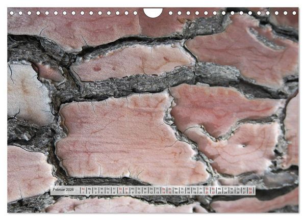 Produktbild: organische Strukturen Abstrakte Formen der Natur (Wandkalender 2026 DIN A4 quer), CALVENDO Monatskalender