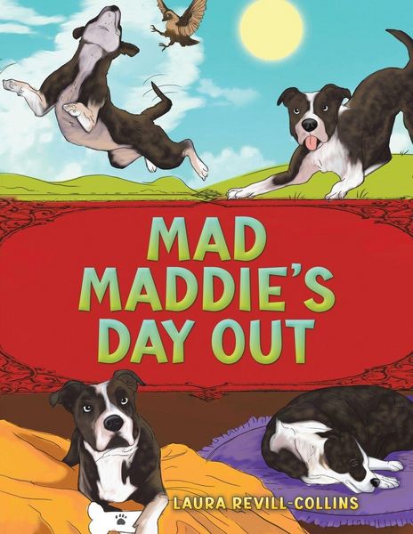 Produktbild: Mad Maddie's Day Out