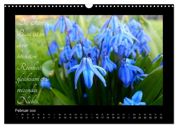 Produktbild: Goethes Blau. Gedanken zur Farbe (Wandkalender 2026 DIN A3 quer), CALVENDO Monatskalender