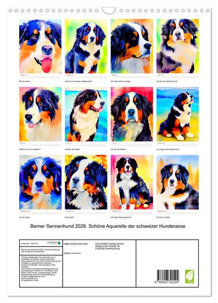 Produktbild: Berner Sennenhund 2026. Sch&ouml;ne Aquarelle der schweizer Hunderasse (Wandkalender 2026 DIN A3 hoch), CALVENDO Monatskalender