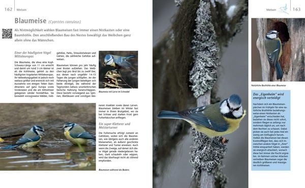 Produktbild: V&ouml;gel zu Gast im Garten - Heimische V&ouml;gel beobachten, bestimmen, sch&uuml;tzen.