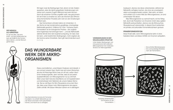 Produktbild: Fermentieren. Rezepte und Techniken f&uuml;r Geschmack, den man nicht kaufen kann