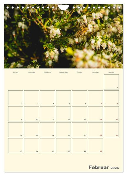 Produktbild: Bienen im Naturgarten (Wandkalender 2026 DIN A4 hoch), CALVENDO Monatskalender