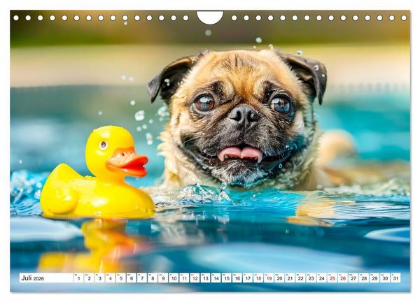 Produktbild: Mops-Mania - Der Spa&szlig;kalender f&uuml;r Mops-Fans (Wandkalender 2026 DIN A4 quer), CALVENDO Monatskalender