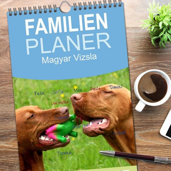 Produktbild: Familienplaner 2026 - Magyar Vizsla mit 5 Spalten (Wandkalender, 21 x 45 cm) CALVENDO