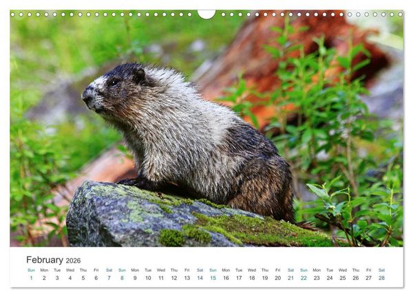 Produktbild: Icefields Parkway in Canada (Wall Calendar 2026 DIN A3 landscape), CALVENDO 12 Month Wall Calendar