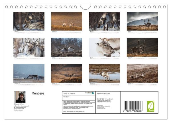 Produktbild: Rentiere (Wandkalender 2026 DIN A4 quer), CALVENDO Monatskalender
