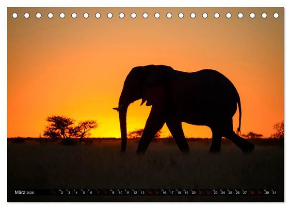 Produktbild: Faszination Botswana (Tischkalender 2026 DIN A5 quer), CALVENDO Monatskalender