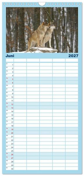 Produktbild: Familienplaner 2027 - Kanadische W&ouml;lfe im Winter mit 5 Spalten (Wandkalender, 21 x 45 cm) CALVENDO