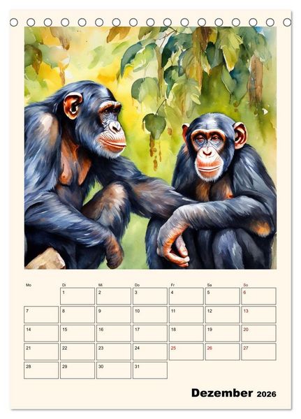 Produktbild: Schimpansen & Gorillas (Tischkalender 2026 DIN A5 hoch), CALVENDO Monatskalender