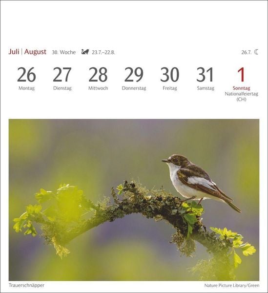 Produktbild: Heimische V&ouml;gel Postkartenkalender 2027 - Wochenkalender mit 53 Postkarten