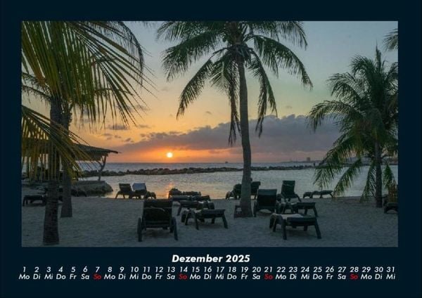 Produktbild: Palmentraum 2025 Fotokalender DIN A4