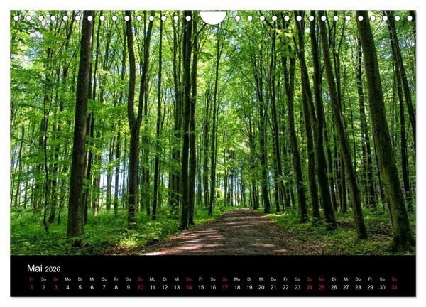Produktbild: Meerbusch. Meerer Busch (Wandkalender 2026 DIN A4 quer), CALVENDO Monatskalender