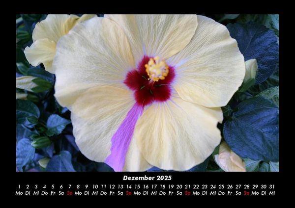 Produktbild: Bilder aus der Natur 2025 Fotokalender DIN A3